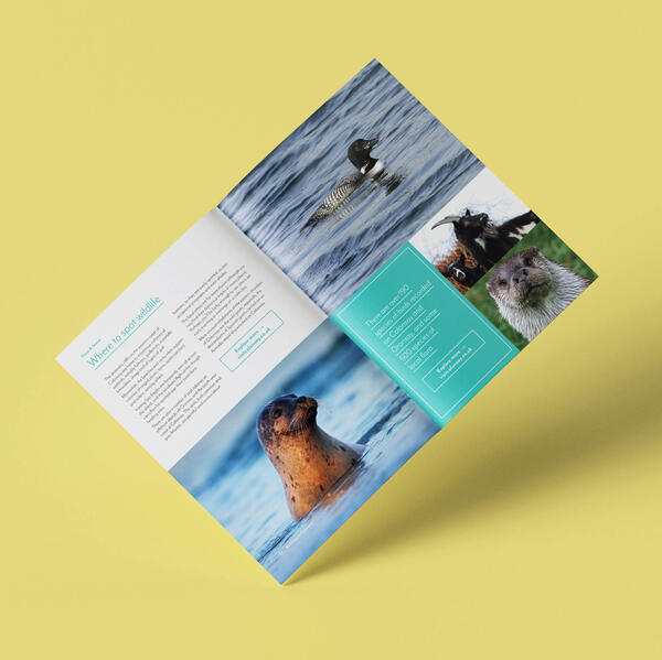 Welcome to Colonsay | Brand Identity Welcome to Colonsay | Brand Identity